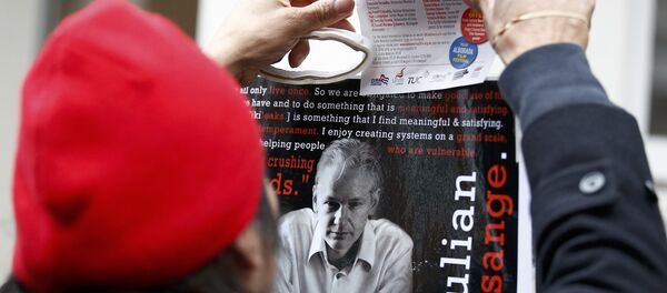 Apoiante de Julian Assange, fundador do portal WikiLeaks, segurando cartaz, Londres, Reino Unido, 14 de novembro de 2016 - Sputnik Brasil