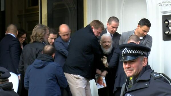 Julian Assange sendo preso - Sputnik Brasil