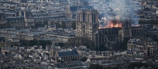 O incêndio na Catedral de Notre-Dame - Sputnik Brasil