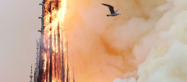 Fumaça e fogo engolem a torre da Catedral de Notre-Dame em Paris. - Sputnik Brasil