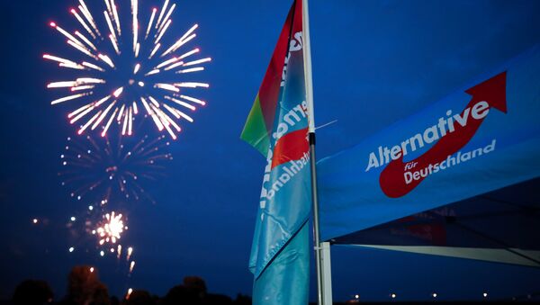 Germany's far-right Alternative for Germany AfD party burn a private fireworks during an election campaign tour by ship on the river Rhine near Krefeld, western Germany, September 4, 2017. - Sputnik Brasil