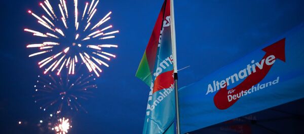 Germany's far-right Alternative for Germany AfD party burn a private fireworks during an election campaign tour by ship on the river Rhine near Krefeld, western Germany, September 4, 2017. Germany's far-right Alternative for Germany AfD party burn a private fireworks during an election campaign tour by ship on the river Rhine near Krefeld, western Germany, September 4, 2017. - Sputnik Brasil