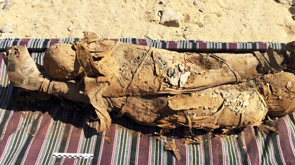 Dezenas de múmias são descobertas em antiga tumba no Egito (FOTOS)  - Sputnik Brasil