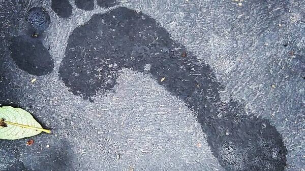 Pegada humana (imagem referencial) - Sputnik Brasil