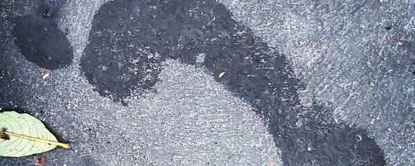 Pegada humana (imagem referencial) - Sputnik Brasil