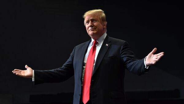 Presidente dos EUA, Donald Trump, durante comício de campanha em Michigan, EUA, 28 de março de 2019 - Sputnik Brasil