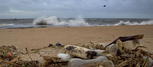 Uma garrafa plástica e outros detritos em praia do Oceano Índico localizada em Uswetakeiyawa, Sri Lanka. - Sputnik Brasil