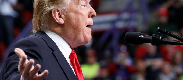 Presidente dos EUA, Donald Trump, durante comício na cidade de Green Bay, nos EUA - Sputnik Brasil