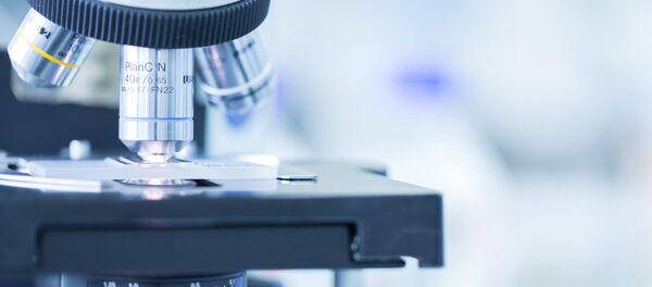 Microscópio (imagem referencial) Microscópio (imagem referencial) - Sputnik Brasil