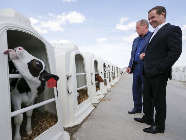 Primeiro-ministro russo Dmitry Medvedev durante visita à empresa agrícola Zarechye, na região de Voronezh, Rússia - Sputnik Brasil