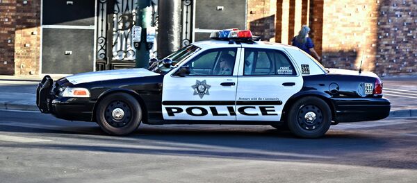 Carro de polícia nos EUA (imagem referencial) - Sputnik Brasil