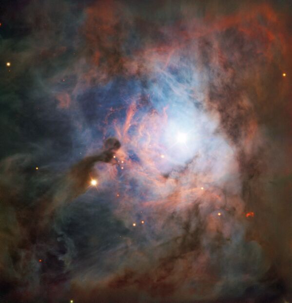 Constelação de Orion é uma das coleções de estrelas mais reconhecíveis no céu noturno. A constelação abriga o radiante de uma chuva de meteoros denominada Oriônidas, cujo pico acontece no final de outubro quando a Terra cruza com os fragmentos deixados pelo cometa Halley - Sputnik Brasil