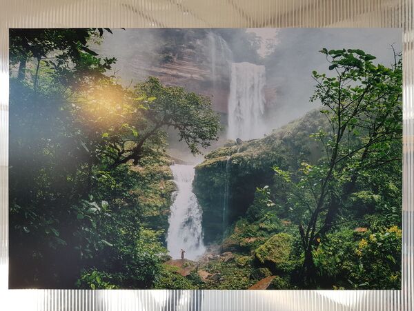 Amazonenses vivenciam medo da chegada do coronavírus Amazonenses vivenciam medo da chegada do coronavírus - Sputnik Brasil