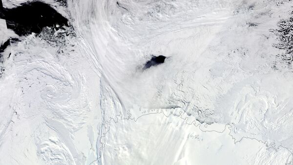 Polínia enorme no gelo do mar de Weddell, na costa da Antártica - Sputnik Brasil
