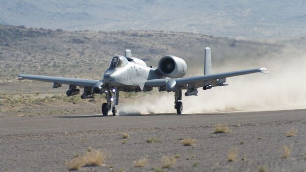 Jato norte-americano lança bombas na Flórida após colidir com pássaro, dizem oficiais - Sputnik Brasil