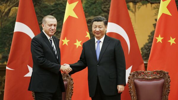 Recep Tayyip Erdogan e Xi Jinping (arquivo) - Sputnik Brasil
