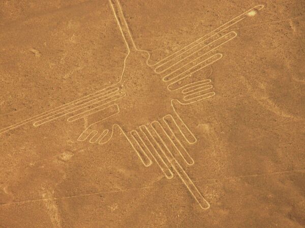 Cientistas trazem respostas sobre misteriosas aves gigantes de Nazca, no Peru (Fotos) Cientistas trazem respostas sobre misteriosas aves gigantes de Nazca, no Peru (Fotos) - Sputnik Brasil