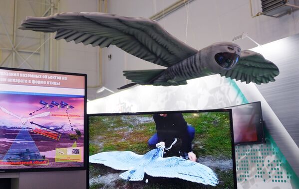 Sistema de reconhecimento e designação de alvos terrestres instalado em drone em forma de ave, exibido no fórum internacional técnico-militar EXÉRCITO 2019  - Sputnik Brasil