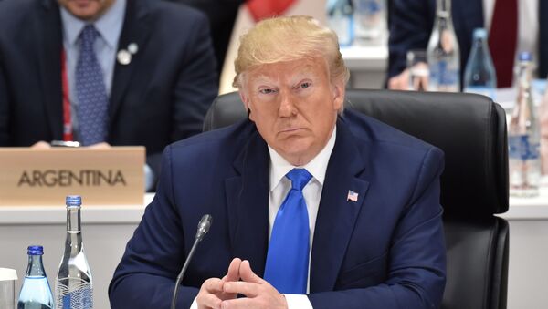 Presidente dos EUA Donald Trump na cúpula do G20 em Osaka - Sputnik Brasil
