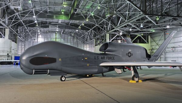 Drone estratégico RQ-4 Global Hawk da Força Aérea dos EUA - Sputnik Brasil
