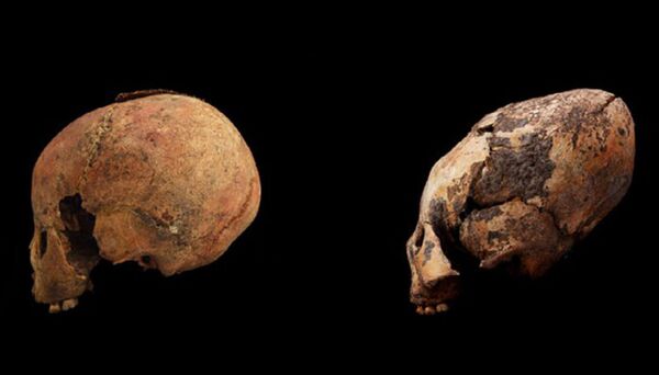 Crânios de forma insólita de 12.000 anos encontrados na China - Sputnik Brasil