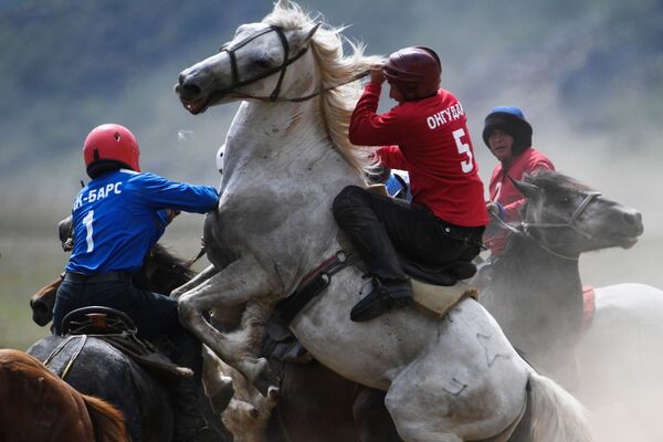 Participantes do esporte tradicional da Ásia Central chamado Buzkashi ou Kok-boru (cujo objetivo é agarrar uma cabra ou bezerro do chão em pleno galope) durante uma competição na República de Altai (Rússia)
 - Sputnik Brasil