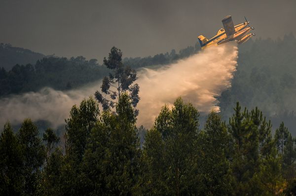 Clima faz Portugal entrar em alerta contra novos incêndios - Sputnik Brasil