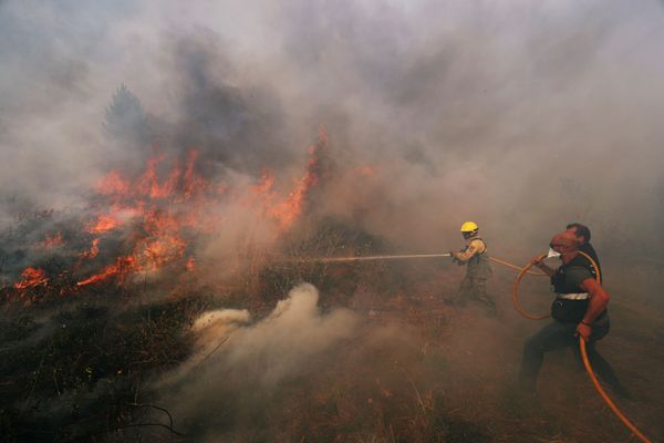 Clima faz Portugal entrar em alerta contra novos incêndios - Sputnik Brasil