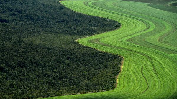 Vista aérea de plantações ao lado do Cerrado, no município de Formosa do Rio Preto, Bahia - Sputnik Brasil