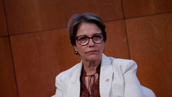 Tereza Cristina, ministra da Agricultura Pecuária e Abastecimento - Sputnik Brasil