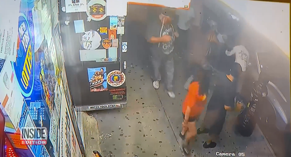 Cachorro sobrevive após cair do telhado de um prédio em Nova York (FOTOS) - Sputnik Brasil