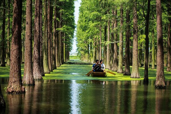 Visitantes do parque no lago Luyanghu, na cidade de Yangzhou, China
 - Sputnik Brasil