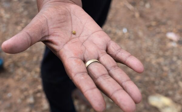 O sonho dourado que se esconde no sul da Venezuela (FOTOS) O sonho dourado que se esconde no sul da Venezuela (FOTOS) - Sputnik Brasil
