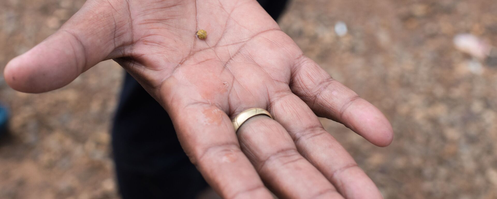 Mulher mostra pepita de ouro encontrada em El Callao, Venezuela - Sputnik Brasil, 1920, 10.09.2024