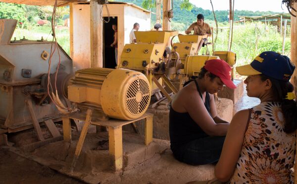 O sonho dourado que se esconde no sul da Venezuela (FOTOS) O sonho dourado que se esconde no sul da Venezuela (FOTOS) - Sputnik Brasil