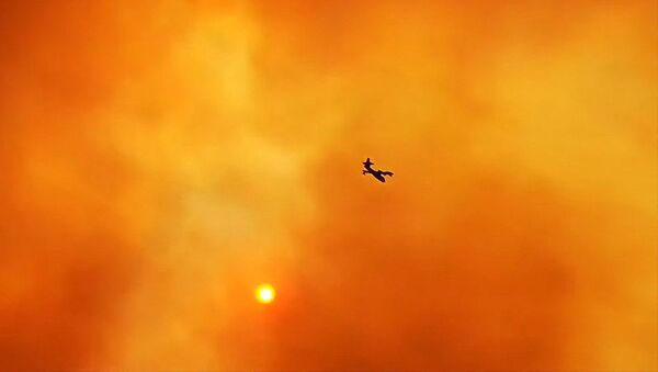 Avião atravessa céu laranja devido às chamas causadas por incêndios na ilha grega de Euboea - Sputnik Brasil