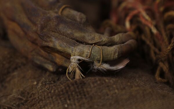 Conservação da garota inca mumificada que retornou à Bolívia - Sputnik Brasil