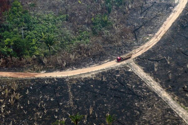 Vista de cima das queimadas na Amazônia - Sputnik Brasil