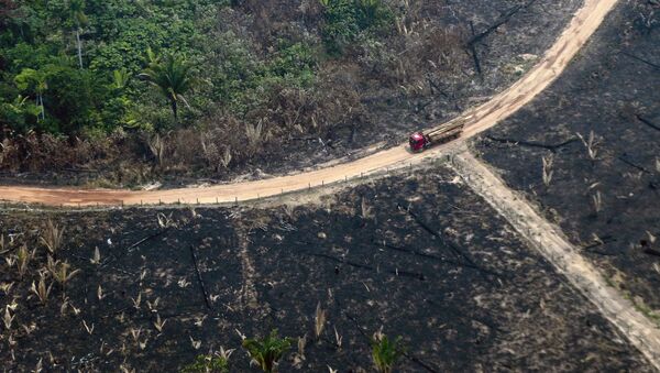 Vista de cima das queimadas na Amazônia - Sputnik Brasil