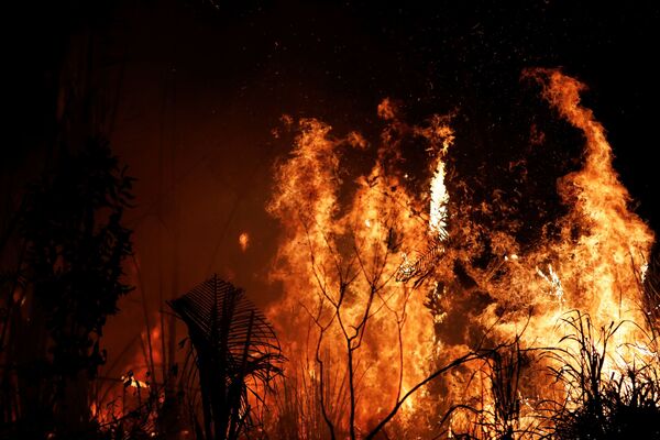 Incêndios florestais no território brasileiro da Amazônia  - Sputnik Brasil