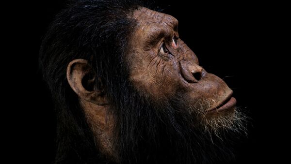 Reconstrução facial, feita por John Gurche, da espécie Australopithecus anamensis, baseada em fóssil craniano descoberto em 2016 na Etiópia - Sputnik Brasil