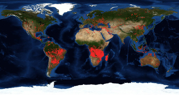 Da Amazônia à Sibéria: intensidade anormal de incêndios florestais ao redor do globo - Sputnik Brasil