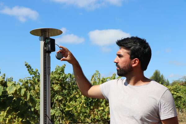 Conheça Vinbot, o robô que promete revolucionar produção de vinhos na Europa (FOTOS) - Sputnik Brasil