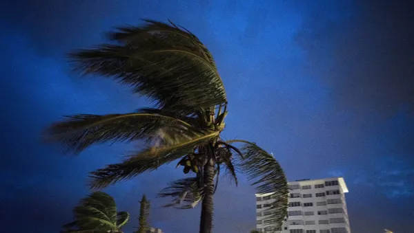 Ventos fortes nas Bahamas ocasionados pelo furacão Dorian, 1º de setembro de 2019  - Sputnik Brasil