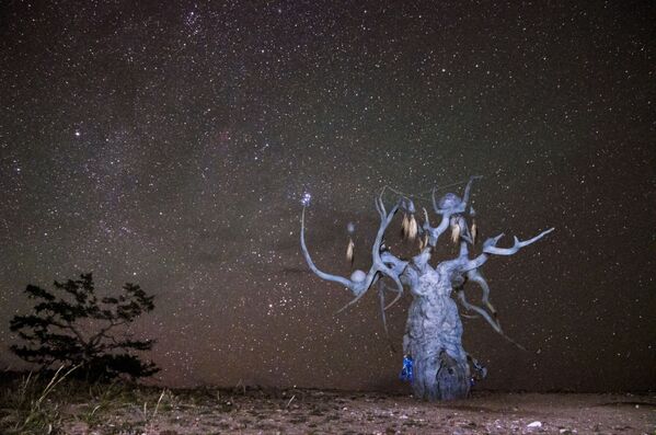 Escultura de Dasha Namdakova O Guardião do Baikal, na ilha de Olkhon, no lago Baikal, Rússia - Sputnik Brasil