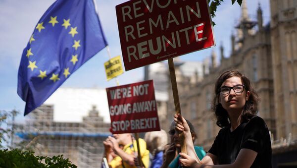 Manifestante contra o Brexit em frente ao parlamento britânico, em Londres - Sputnik Brasil