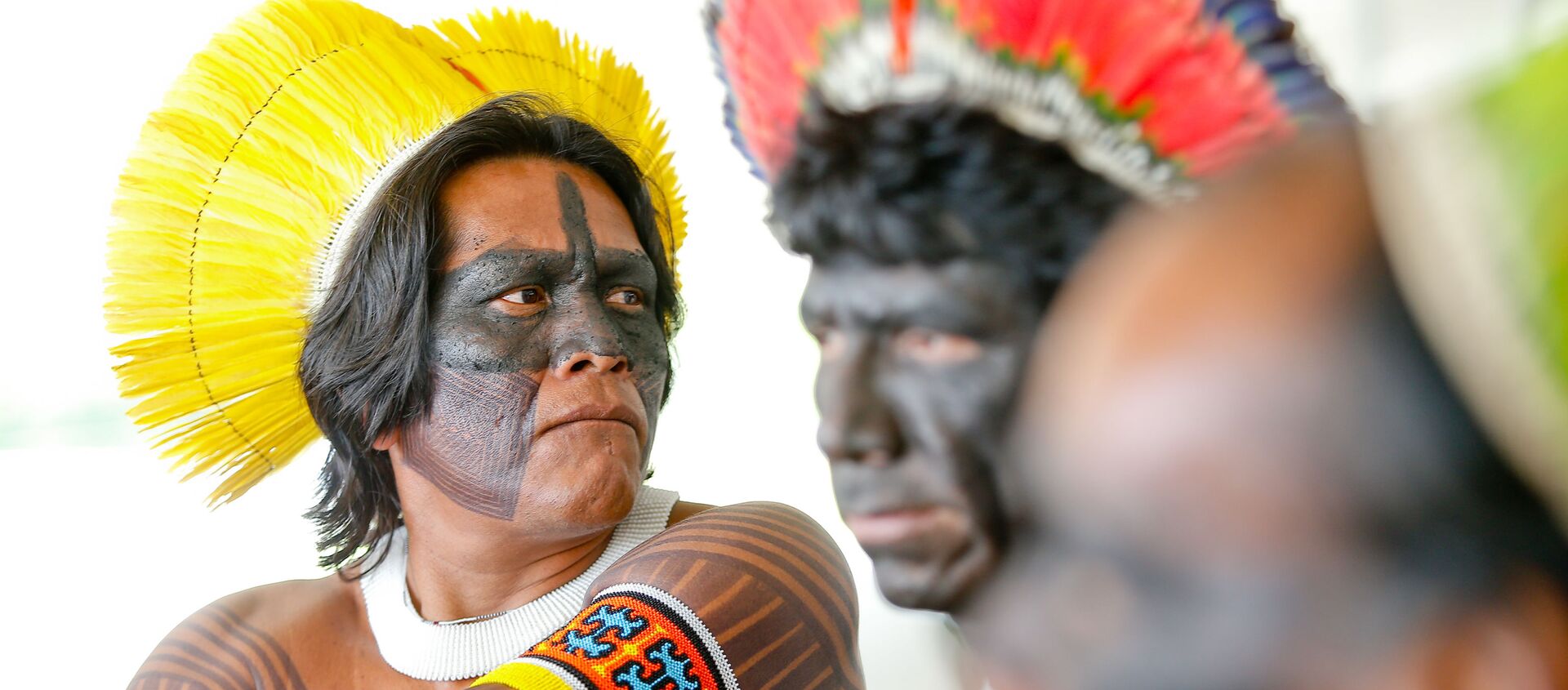 Índios kayapó protestam em frente ao Palácio do Planalto, em Brasília, no dia 2 de fevereiro de 2015. Eles bloquearam a entrada principal do palácio e pediram para ser recebidos por ministros e pela presidente Dilma Rousseff. - Sputnik Brasil, 1920, 19.02.2020