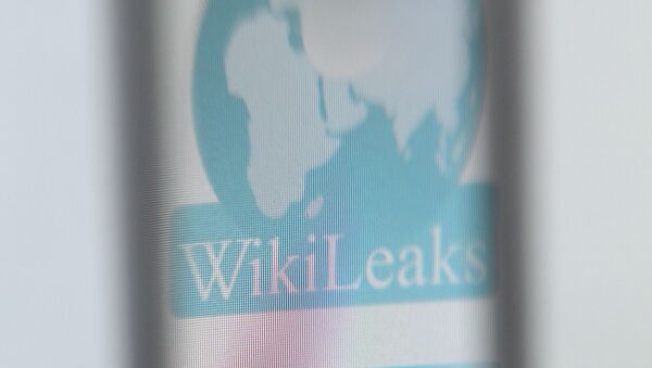 The logo of the website specialised in publishing secret documents WikiLeaks - Sputnik Brasil