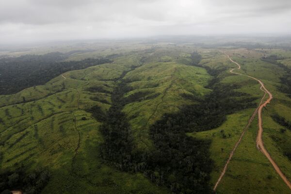 Vista aérea mostra área desmatada na Floresta Amazônica perto da cidade de Altamira, estado do Pará, Brasil, 11 de setembro de 2019 - Sputnik Brasil