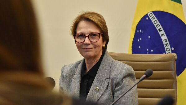 Ministra da Agricultura, Pecuária e Abastecimento, Tereza Cristina Corrêa, participa do quarto Diálogo Brasil-Japão - Sputnik Brasil